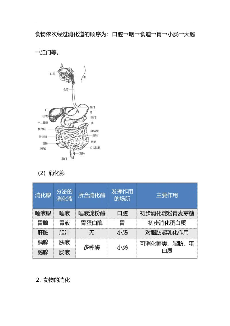 专题07人体的营养-备战2023年中考生物核心考点梳理与必背_6生物中考复习_2023年中考复习资料_专项复习_备战2023年中考生物核心考点梳理与必背