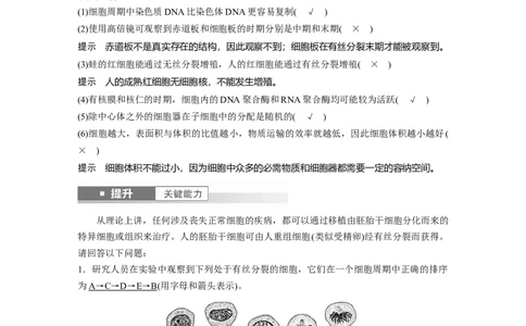 第四单元　第19课时　细胞的增殖_2025年新高考资料_一轮复习_2025大一轮复习讲义+课件（完结）_2025大一轮复习讲义生物教师用书Word版文档整书_配套Word版文档第三~六单元