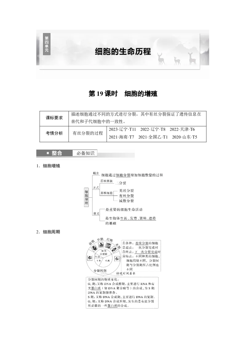 第四单元　第19课时　细胞的增殖_2025年新高考资料_一轮复习_2025大一轮复习讲义+课件（完结）_2025大一轮复习讲义生物教师用书Word版文档整书_配套Word版文档第三~六单元