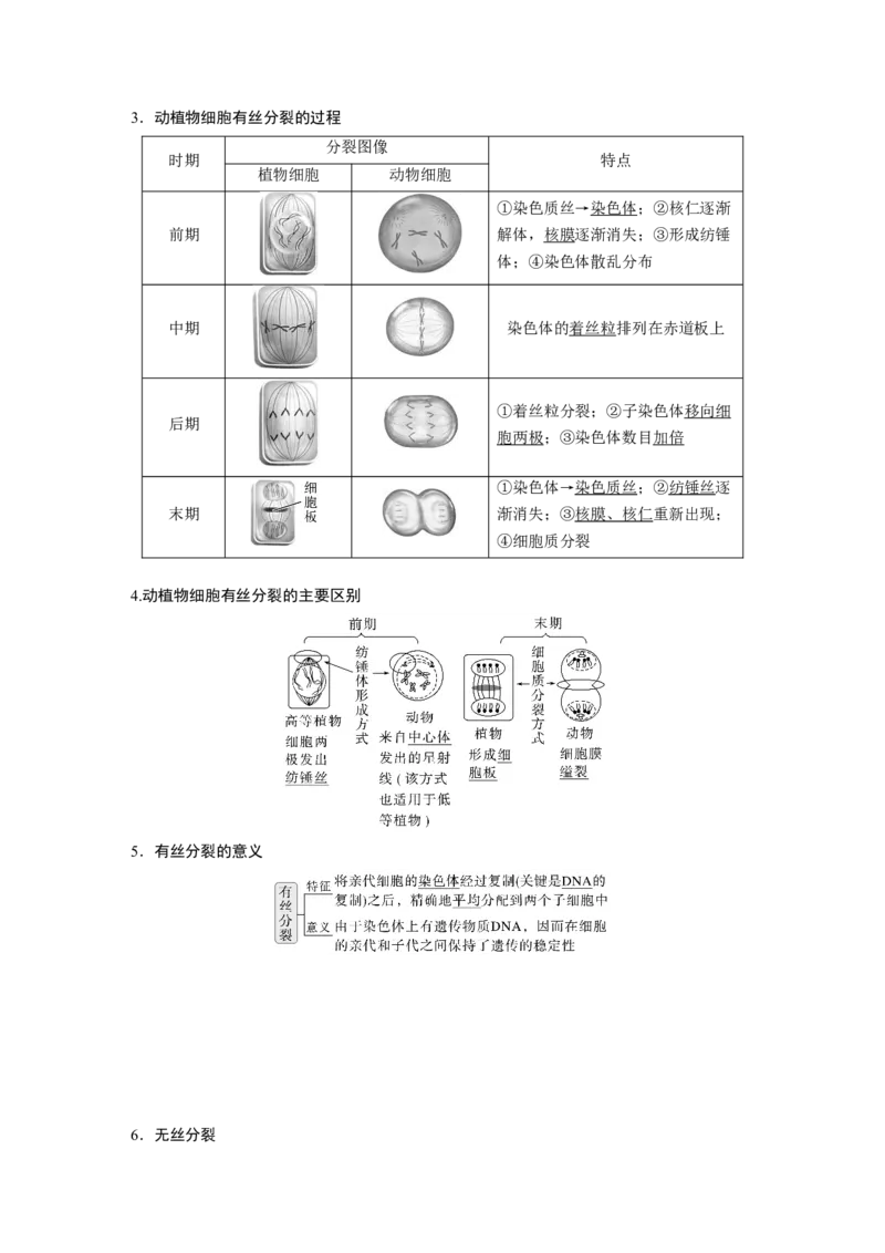 第四单元　第19课时　细胞的增殖_2025年新高考资料_一轮复习_2025大一轮复习讲义+课件（完结）_2025大一轮复习讲义生物教师用书Word版文档整书_配套Word版文档第三~六单元