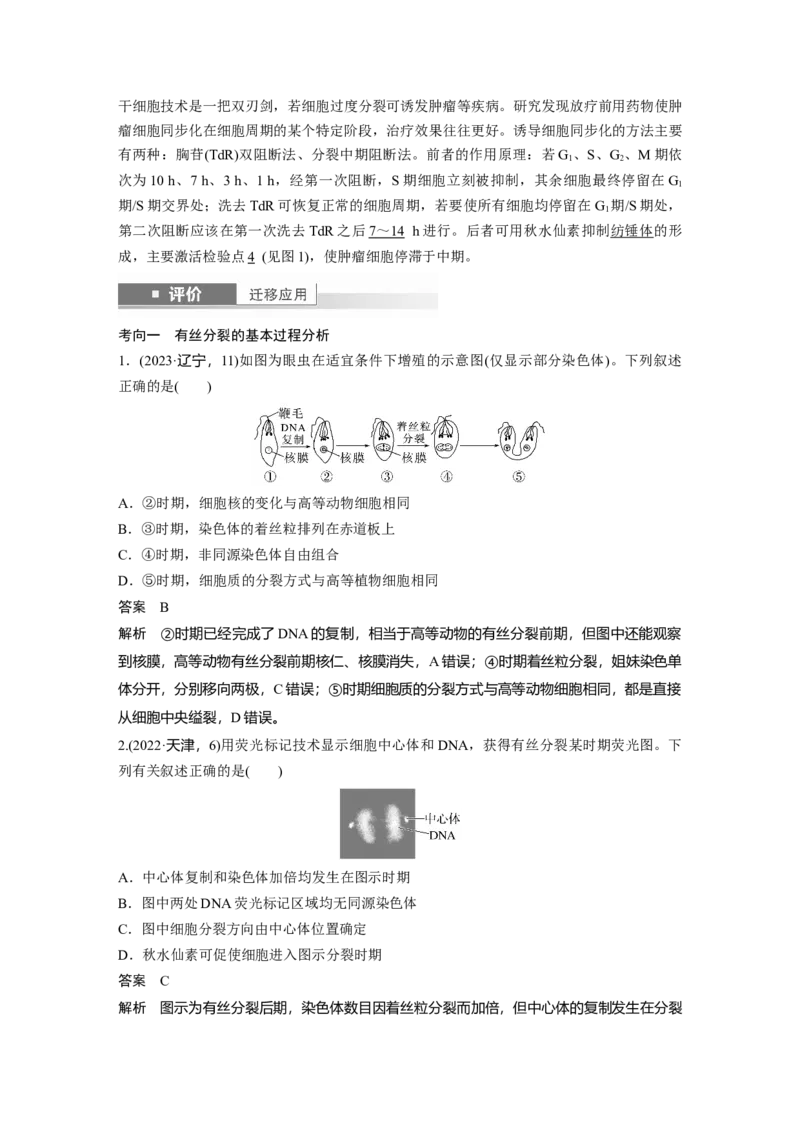 第四单元　第19课时　细胞的增殖_2025年新高考资料_一轮复习_2025大一轮复习讲义+课件（完结）_2025大一轮复习讲义生物教师用书Word版文档整书_配套Word版文档第三~六单元