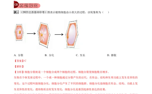 专题02细胞怎样构成生物体（解析版）_6生物中考复习_2023年中考复习资料_专项复习_2023年中考生物总复习真题探究与变式训练（全国通用）