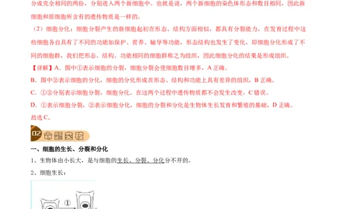 专题02细胞怎样构成生物体（解析版）_6生物中考复习_2023年中考复习资料_专项复习_2023年中考生物总复习真题探究与变式训练（全国通用）