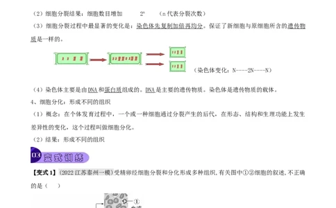 专题02细胞怎样构成生物体（解析版）_6生物中考复习_2023年中考复习资料_专项复习_2023年中考生物总复习真题探究与变式训练（全国通用）