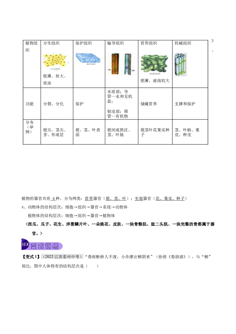 专题02细胞怎样构成生物体（解析版）_6生物中考复习_2023年中考复习资料_专项复习_2023年中考生物总复习真题探究与变式训练（全国通用）
