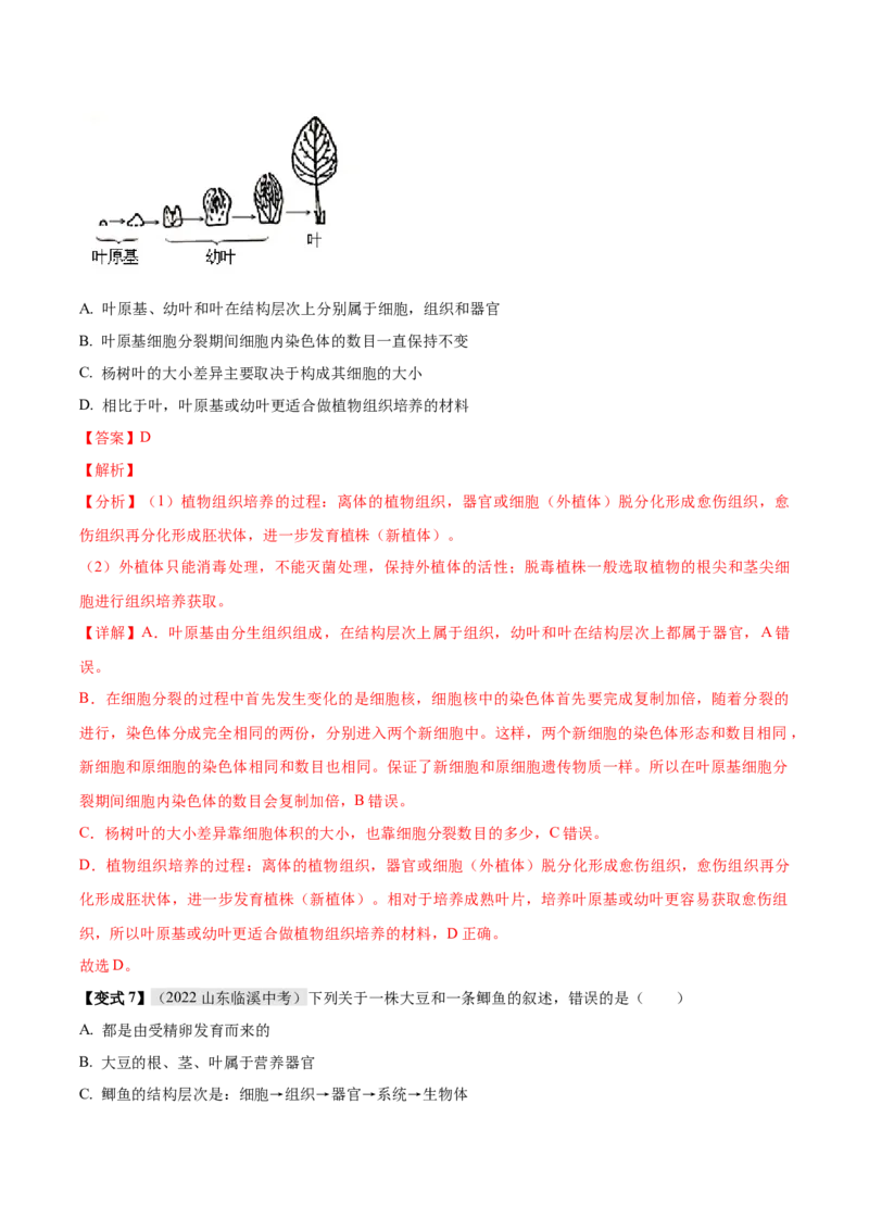 专题02细胞怎样构成生物体（解析版）_6生物中考复习_2023年中考复习资料_专项复习_2023年中考生物总复习真题探究与变式训练（全国通用）