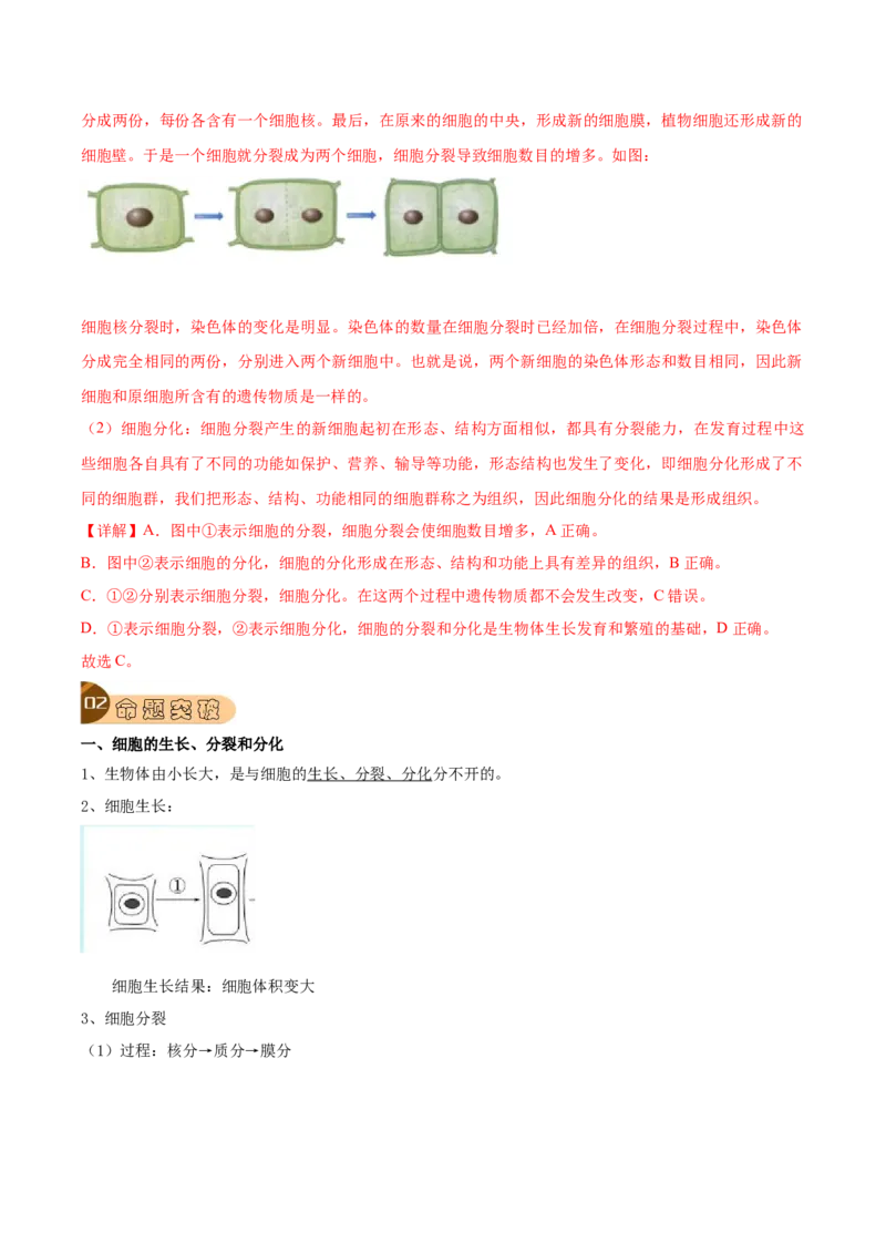专题02细胞怎样构成生物体（解析版）_6生物中考复习_2023年中考复习资料_专项复习_2023年中考生物总复习真题探究与变式训练（全国通用）