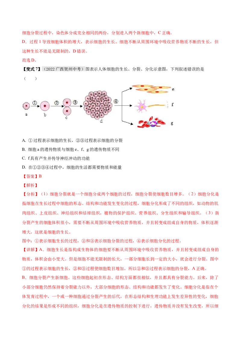 专题02细胞怎样构成生物体（解析版）_6生物中考复习_2023年中考复习资料_专项复习_2023年中考生物总复习真题探究与变式训练（全国通用）