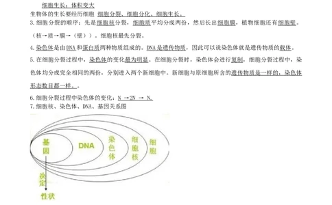 专题03生物体的结构层次（知识帮）-备战2023年中考生物一轮复习考点帮（全国通用）_6生物中考复习_2023年中考复习资料_一轮复习