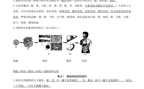专题03生物体的结构层次（知识帮）-备战2023年中考生物一轮复习考点帮（全国通用）_6生物中考复习_2023年中考复习资料_一轮复习
