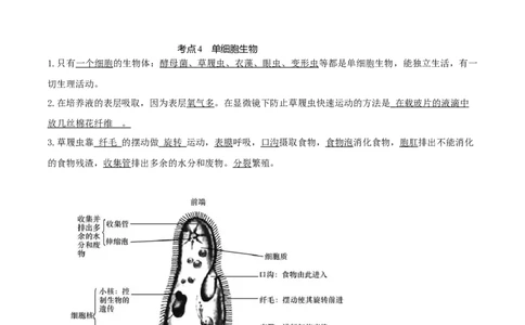 专题03生物体的结构层次（知识帮）-备战2023年中考生物一轮复习考点帮（全国通用）_6生物中考复习_2023年中考复习资料_一轮复习