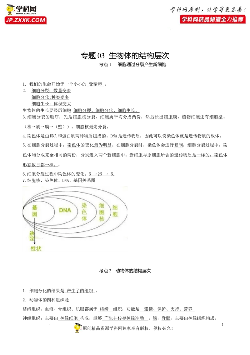 专题03生物体的结构层次（知识帮）-备战2023年中考生物一轮复习考点帮（全国通用）_6生物中考复习_2023年中考复习资料_一轮复习
