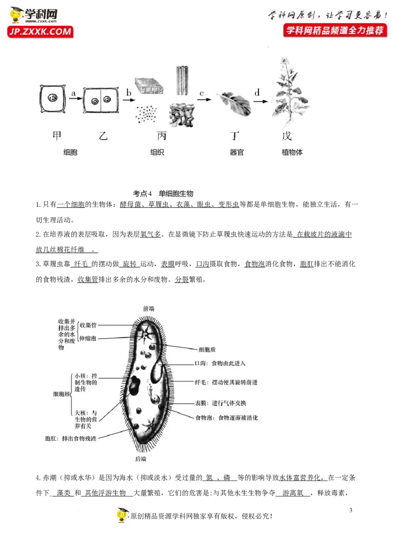 专题03生物体的结构层次（知识帮）-备战2023年中考生物一轮复习考点帮（全国通用）_6生物中考复习_2023年中考复习资料_一轮复习