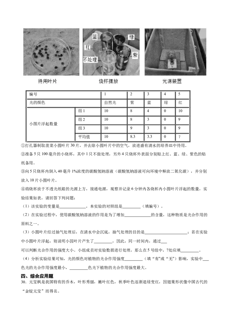 专题07绿色植物的光合作用（习题精练）（原卷版）_6生物中考复习_2024年中考复习资料_一轮复习资料_省心备考2024年中考生物一轮复习精讲精练（全国通用）