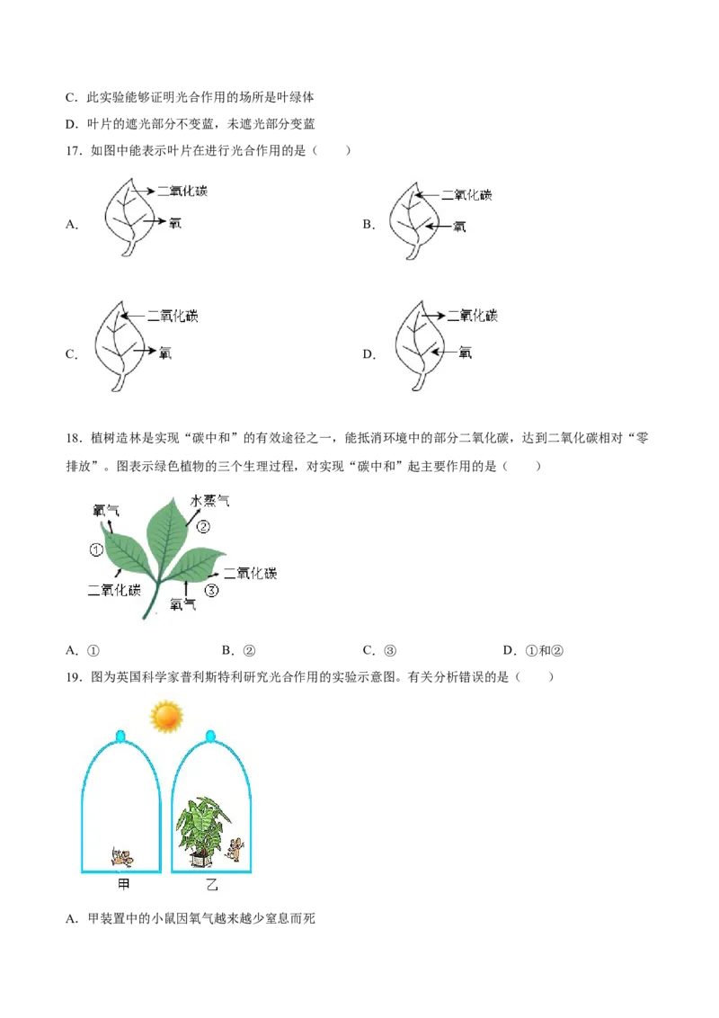 专题07绿色植物的光合作用（习题精练）（原卷版）_6生物中考复习_2024年中考复习资料_一轮复习资料_省心备考2024年中考生物一轮复习精讲精练（全国通用）