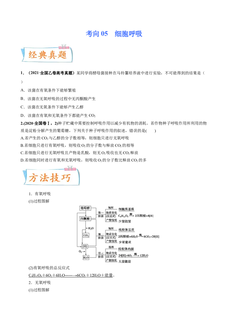 考向05细胞呼吸-备战2023年高考生物一轮复习考点微专题（全国通用）（原卷版）(1)_通用版（老高考）复习资料_2023年复习资料_一轮复习