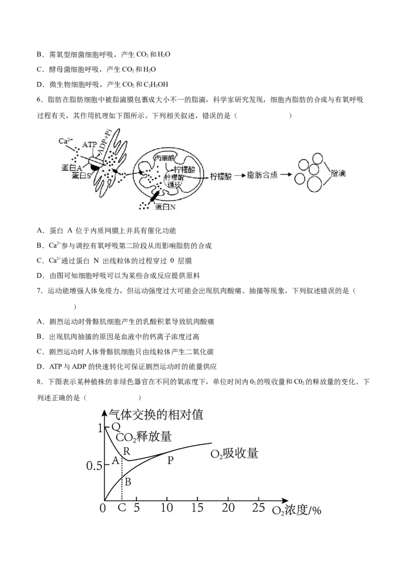 考向05细胞呼吸-备战2023年高考生物一轮复习考点微专题（全国通用）（原卷版）(1)_通用版（老高考）复习资料_2023年复习资料_一轮复习
