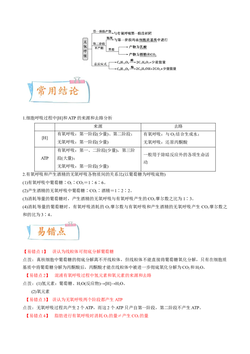 考向05细胞呼吸-备战2023年高考生物一轮复习考点微专题（全国通用）（原卷版）(1)_通用版（老高考）复习资料_2023年复习资料_一轮复习