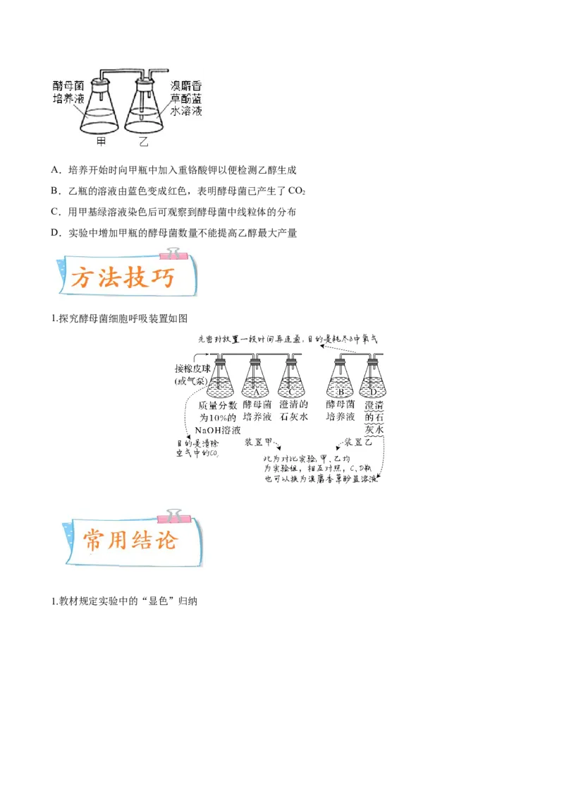 考向05细胞呼吸-备战2023年高考生物一轮复习考点微专题（全国通用）（原卷版）(1)_通用版（老高考）复习资料_2023年复习资料_一轮复习