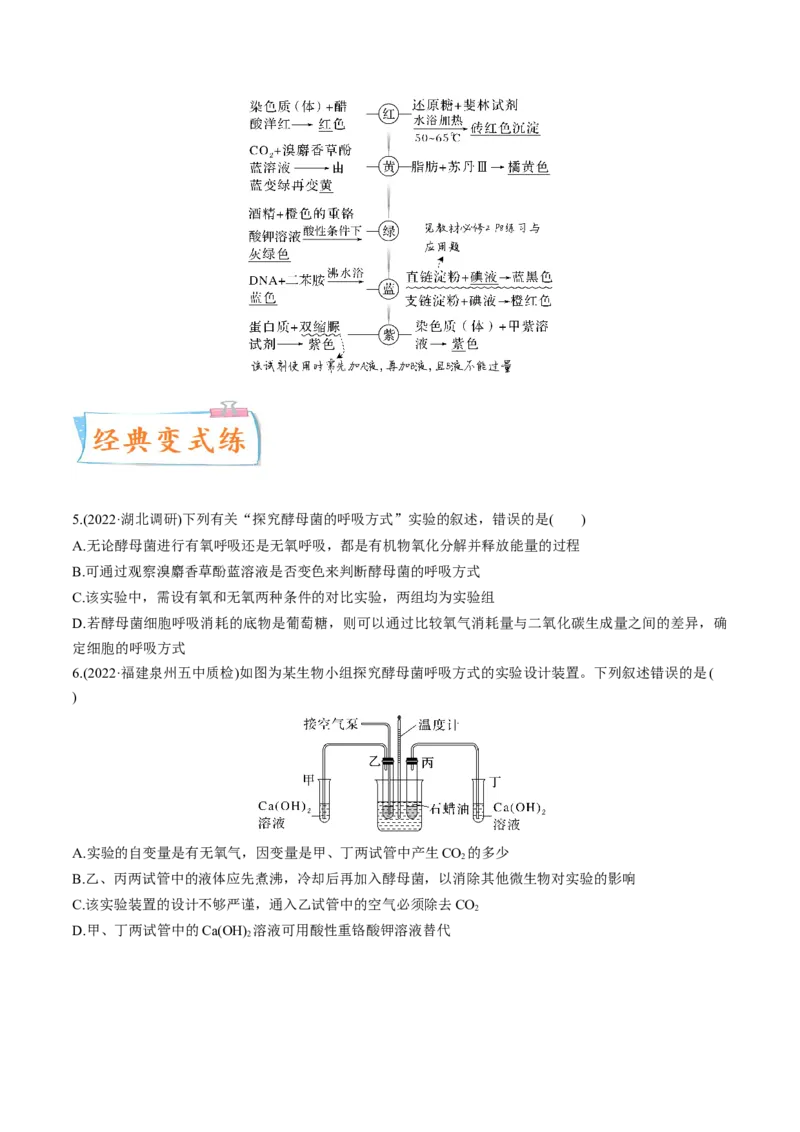 考向05细胞呼吸-备战2023年高考生物一轮复习考点微专题（全国通用）（原卷版）(1)_通用版（老高考）复习资料_2023年复习资料_一轮复习