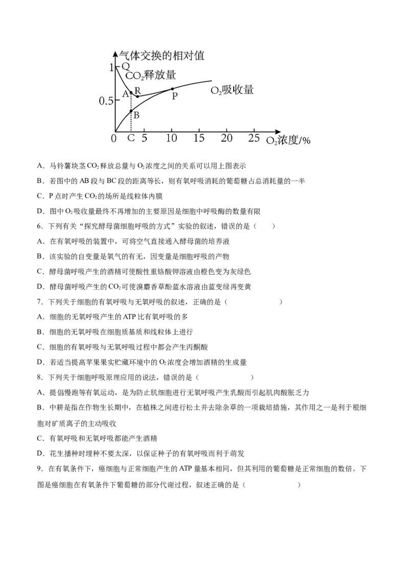 考向05细胞呼吸-备战2023年高考生物一轮复习考点微专题（全国通用）（原卷版）(1)_通用版（老高考）复习资料_2023年复习资料_一轮复习
