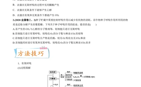 考向05细胞呼吸-备战2023年高考生物一轮复习考点微专题（全国通用）（原卷版）(1)_通用版（老高考）复习资料_2023年复习资料_一轮复习
