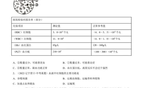 专题10人体内物质的运输和废物的排出（习题帮）（原卷版）_6生物中考复习_2023年中考复习资料_一轮复习_备战2023年中考生物一轮复习考点帮（全国通用）288506454
