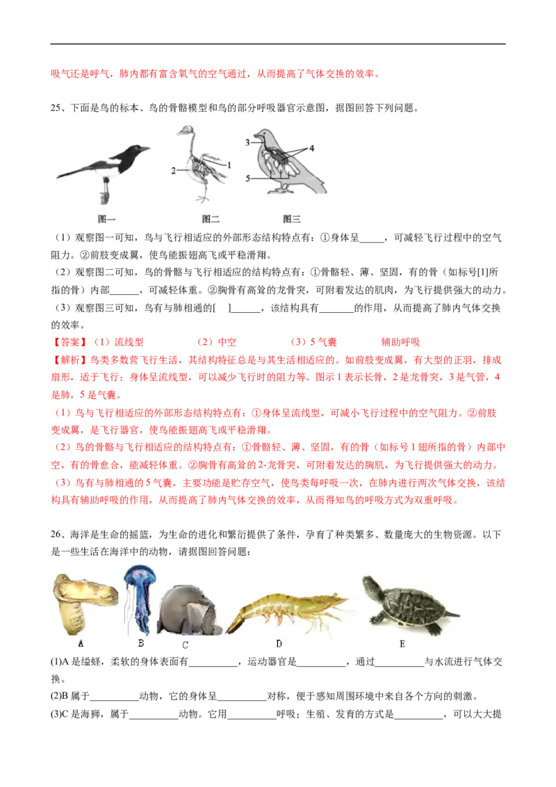 专题15动物的主要类群-2022年中考生物一轮复习抓重点考典型（人教版）（解析版）_6生物中考复习_2023年中考复习资料_一轮复习_2022年中考生物一轮复习抓重点考典型（人教版）