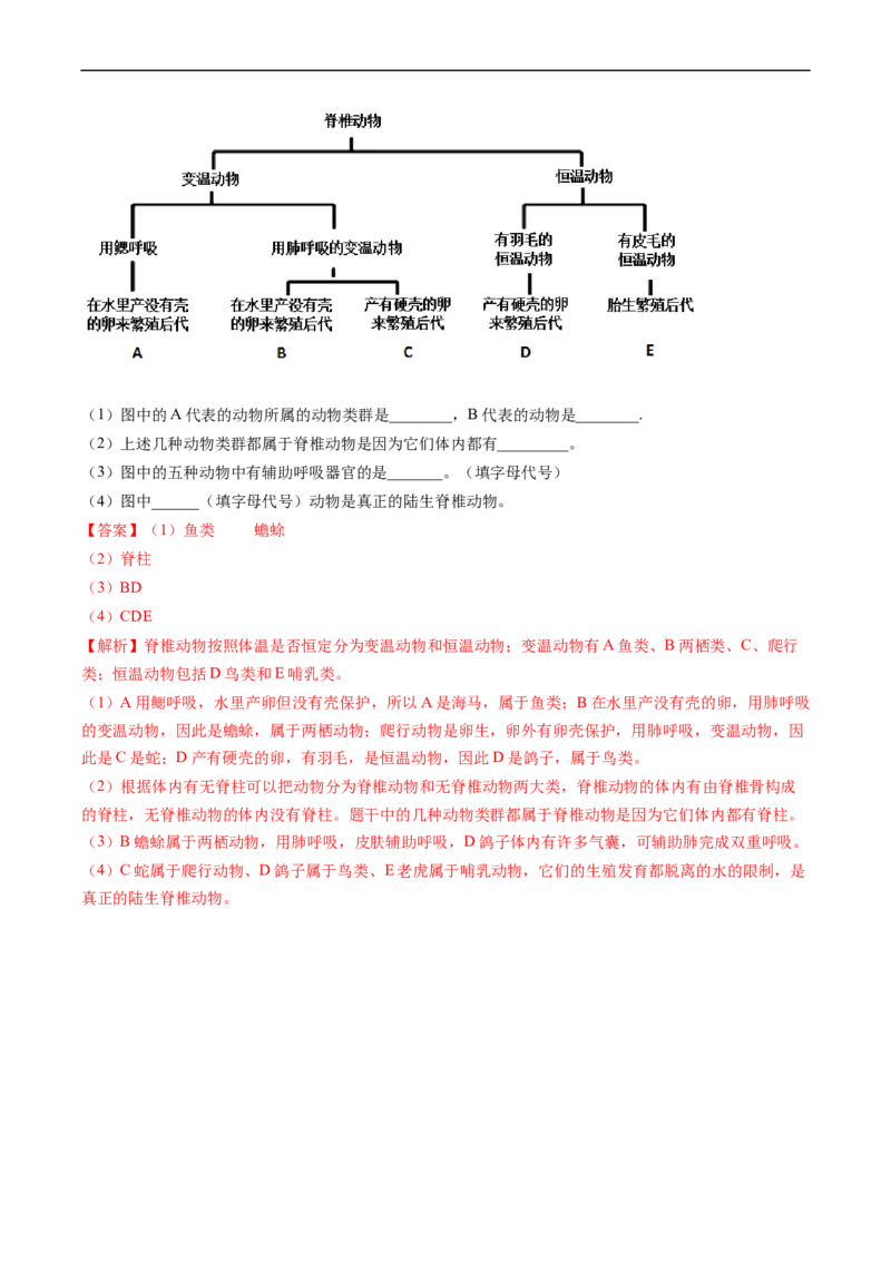 专题15动物的主要类群-2022年中考生物一轮复习抓重点考典型（人教版）（解析版）_6生物中考复习_2023年中考复习资料_一轮复习_2022年中考生物一轮复习抓重点考典型（人教版）