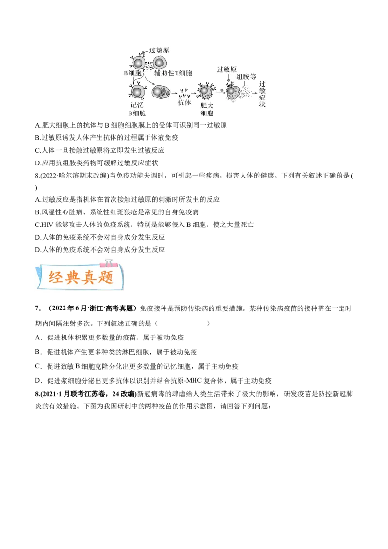 考向19免疫调节-备战2023年高考生物一轮复习考点微专题（全国通用）（原卷版）(1)_通用版（老高考）复习资料_2023年复习资料_一轮复习
