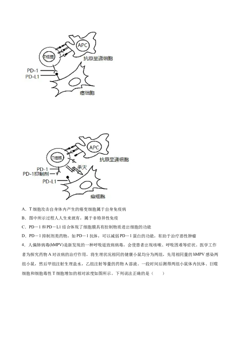 考向19免疫调节-备战2023年高考生物一轮复习考点微专题（全国通用）（原卷版）(1)_通用版（老高考）复习资料_2023年复习资料_一轮复习
