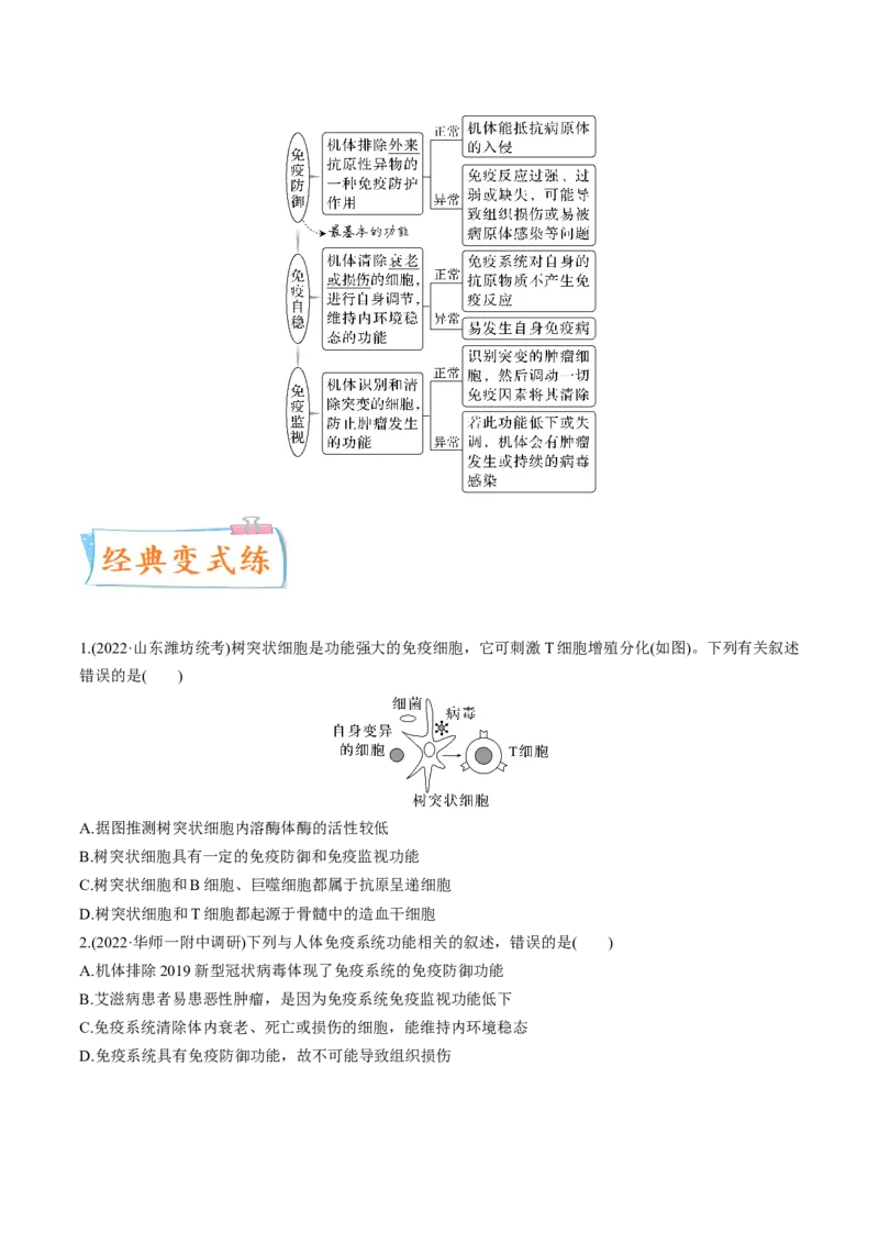考向19免疫调节-备战2023年高考生物一轮复习考点微专题（全国通用）（原卷版）(1)_通用版（老高考）复习资料_2023年复习资料_一轮复习