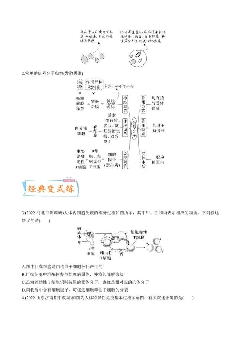 考向19免疫调节-备战2023年高考生物一轮复习考点微专题（全国通用）（原卷版）(1)_通用版（老高考）复习资料_2023年复习资料_一轮复习