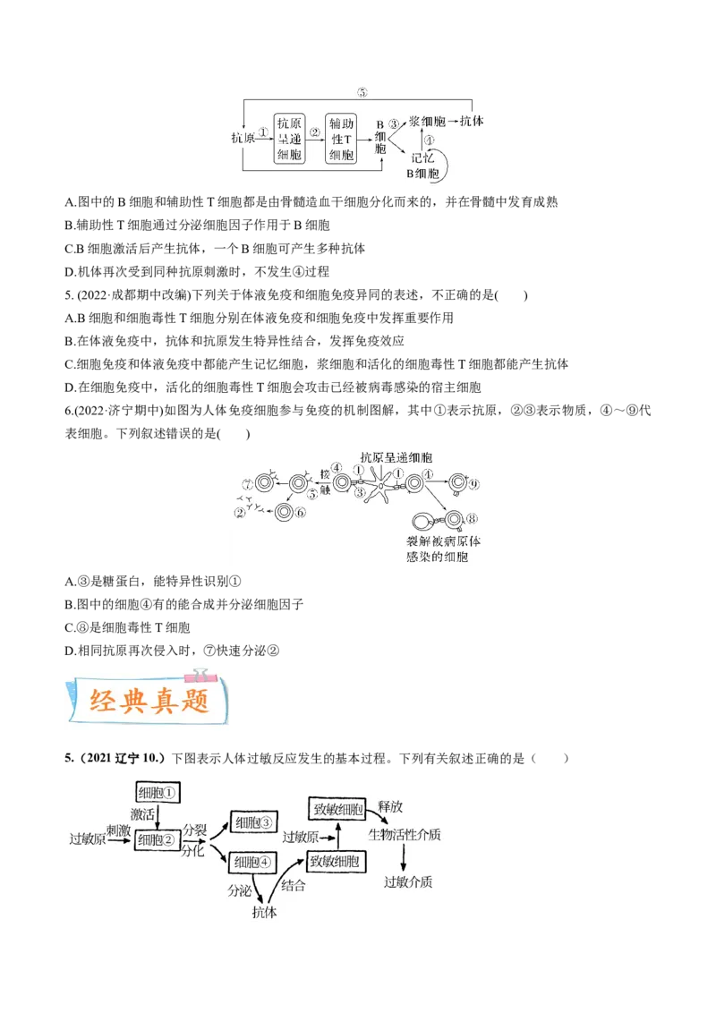 考向19免疫调节-备战2023年高考生物一轮复习考点微专题（全国通用）（原卷版）(1)_通用版（老高考）复习资料_2023年复习资料_一轮复习