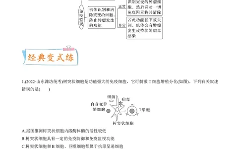 考向19免疫调节-备战2023年高考生物一轮复习考点微专题（全国通用）（原卷版）(1)_通用版（老高考）复习资料_2023年复习资料_一轮复习