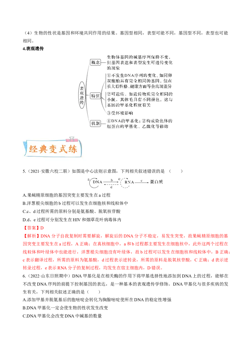 考向13基因的表达-备战2023年高考生物一轮复习考点微专题（全国通用）（解析版）(1)_通用版（老高考）复习资料_2023年复习资料_一轮复习