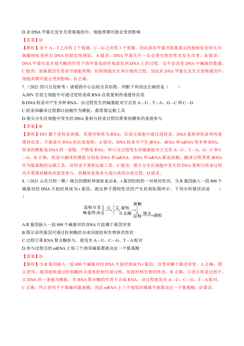 考向13基因的表达-备战2023年高考生物一轮复习考点微专题（全国通用）（解析版）(1)_通用版（老高考）复习资料_2023年复习资料_一轮复习
