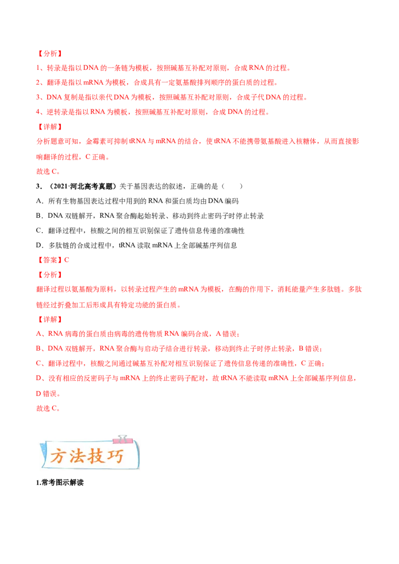 考向13基因的表达-备战2023年高考生物一轮复习考点微专题（全国通用）（解析版）(1)_通用版（老高考）复习资料_2023年复习资料_一轮复习