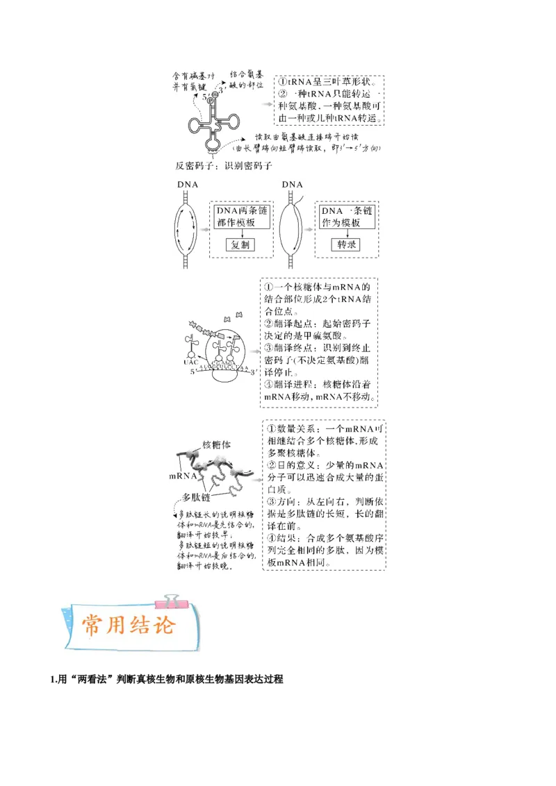 考向13基因的表达-备战2023年高考生物一轮复习考点微专题（全国通用）（解析版）(1)_通用版（老高考）复习资料_2023年复习资料_一轮复习