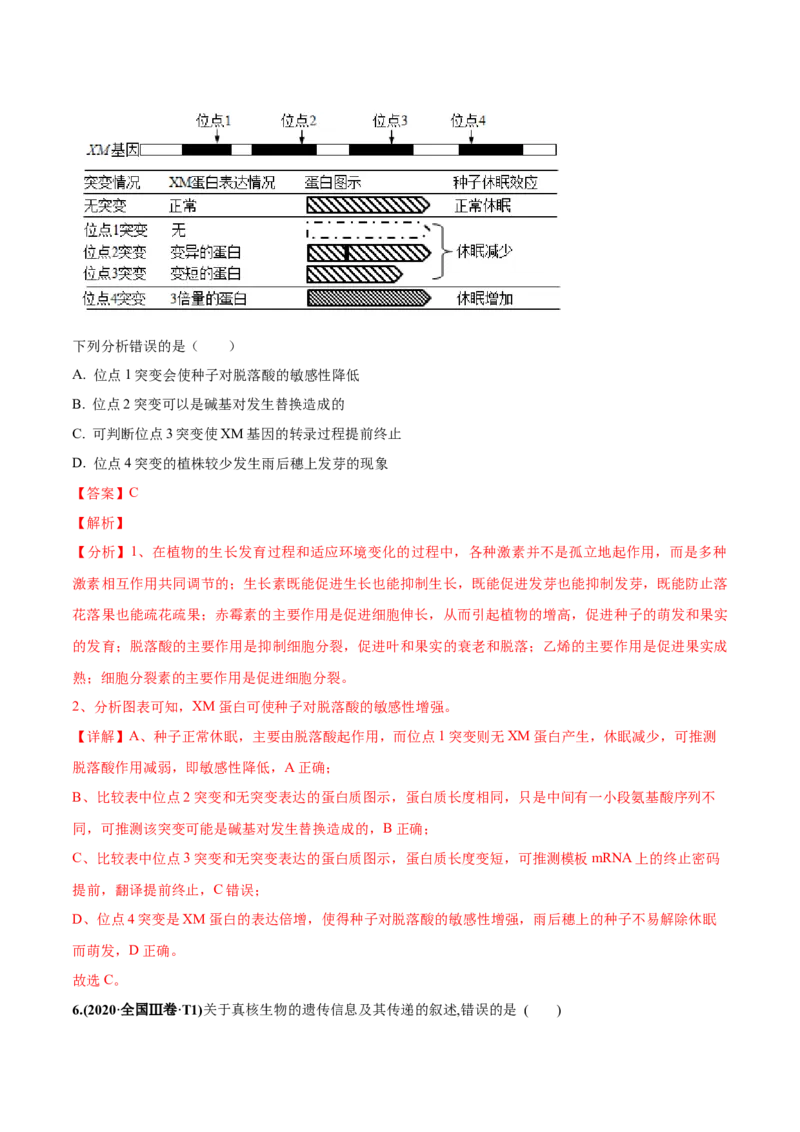 考向13基因的表达-备战2023年高考生物一轮复习考点微专题（全国通用）（解析版）(1)_通用版（老高考）复习资料_2023年复习资料_一轮复习