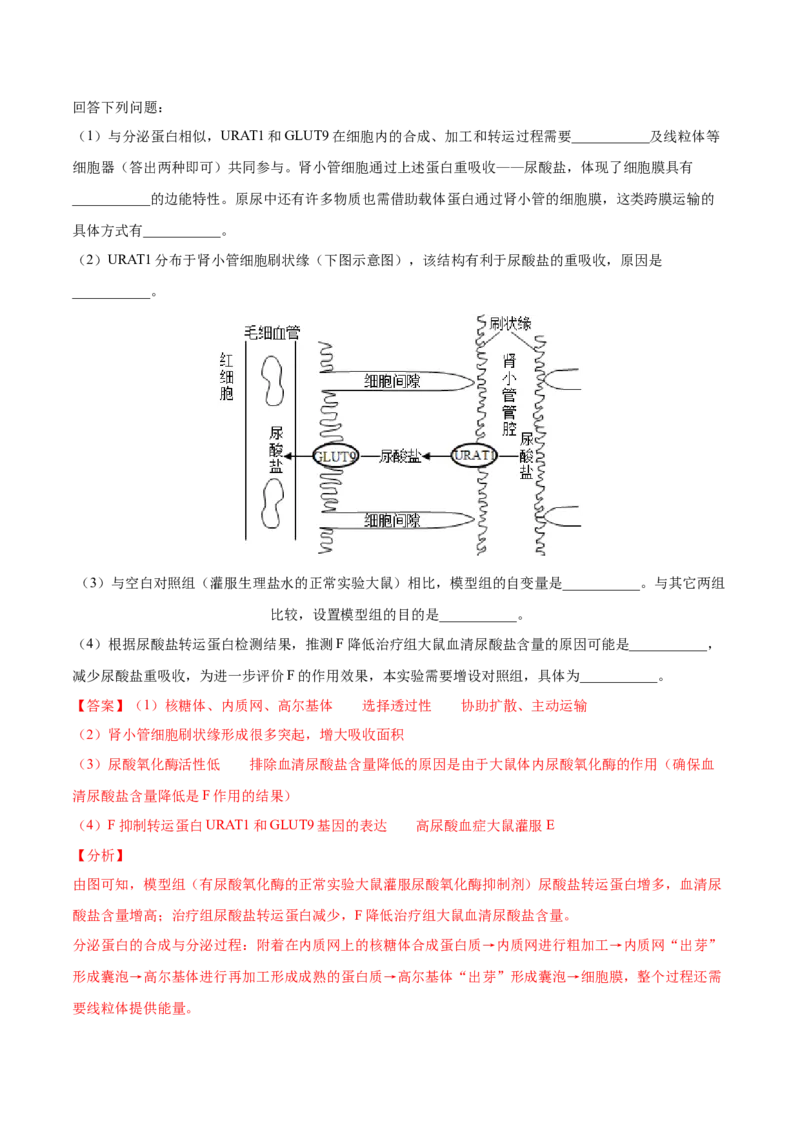 考向13基因的表达-备战2023年高考生物一轮复习考点微专题（全国通用）（解析版）(1)_通用版（老高考）复习资料_2023年复习资料_一轮复习