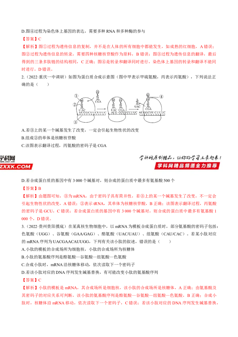 考向13基因的表达-备战2023年高考生物一轮复习考点微专题（全国通用）（解析版）(1)_通用版（老高考）复习资料_2023年复习资料_一轮复习