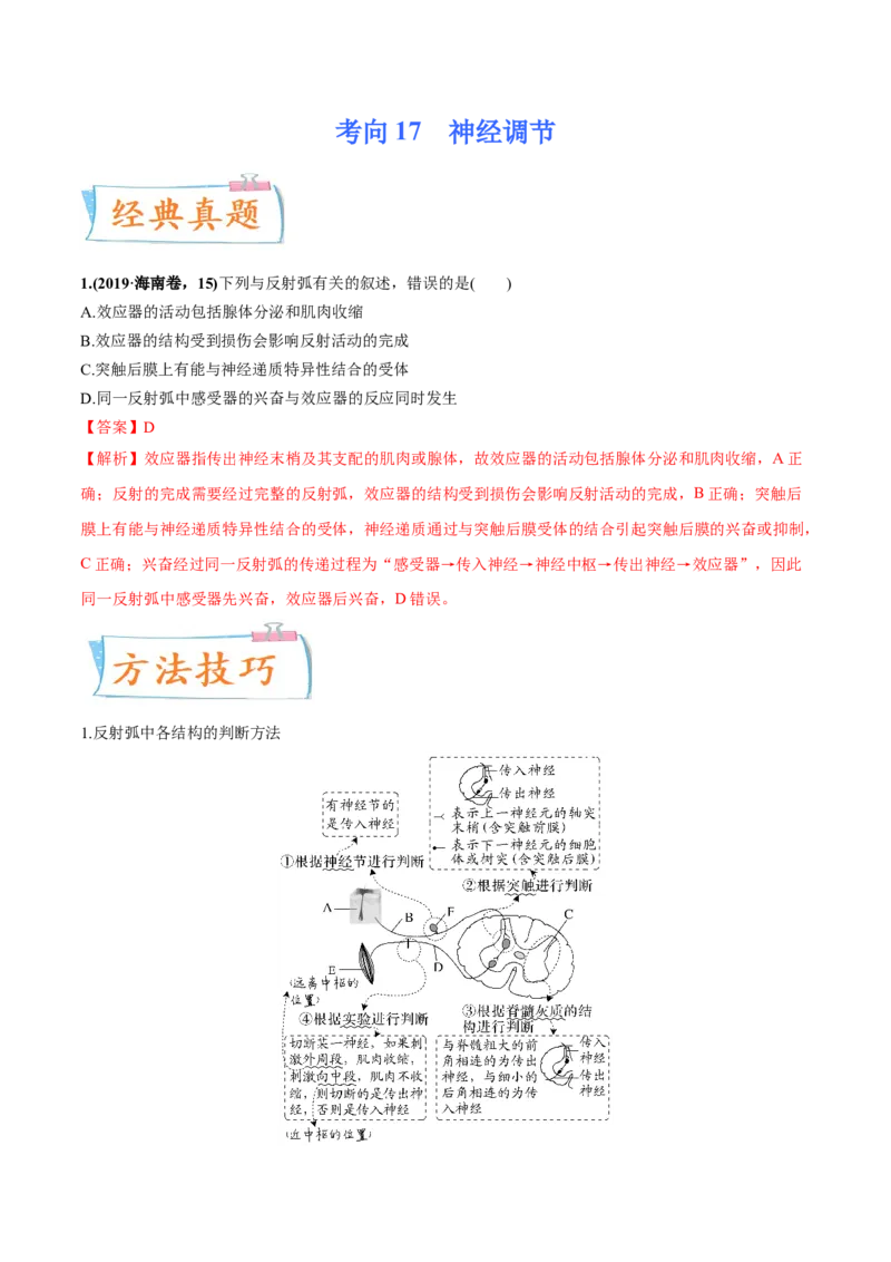 考向17神经调节-备战2023年高考生物一轮复习考点微专题（全国通用）（解析版）(1)_通用版（老高考）复习资料_2023年复习资料_一轮复习