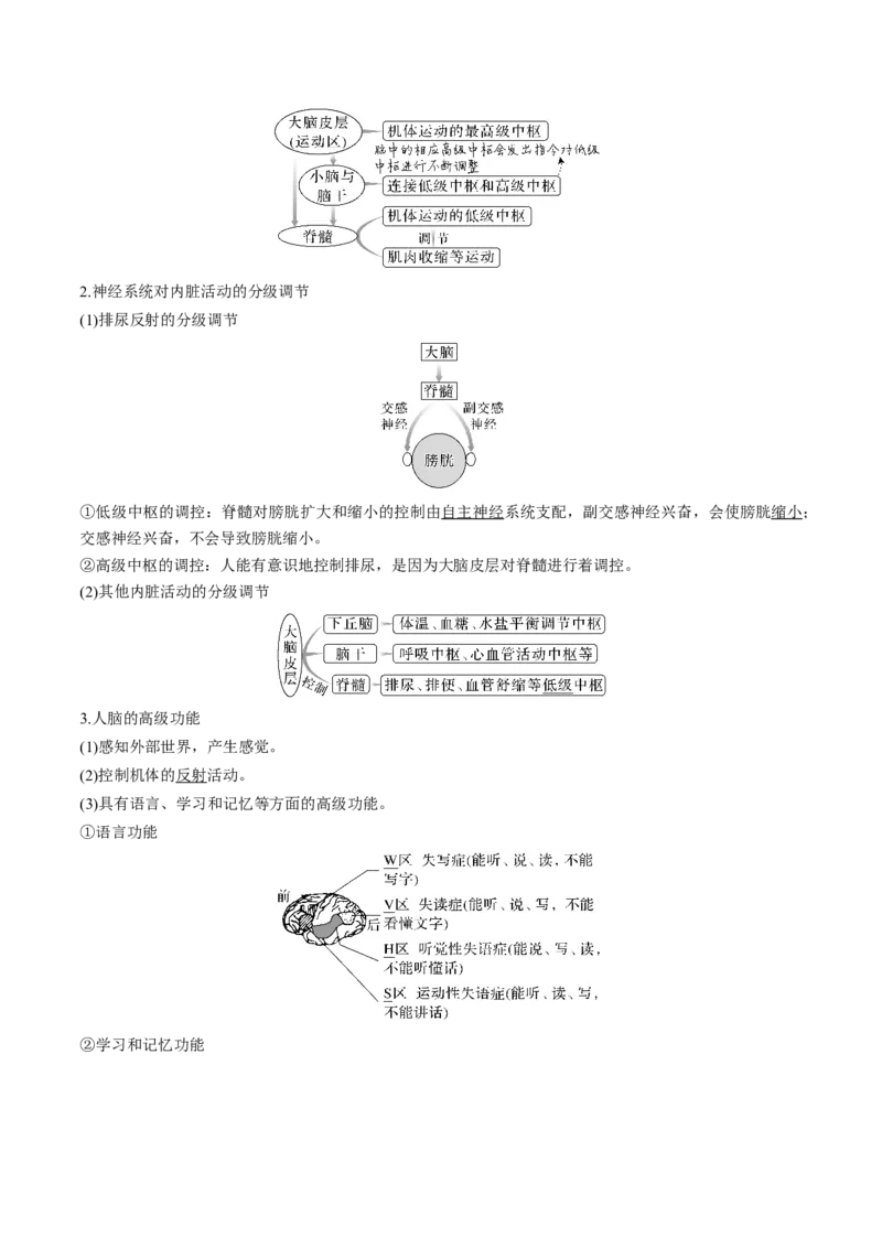 考向17神经调节-备战2023年高考生物一轮复习考点微专题（全国通用）（解析版）(1)_通用版（老高考）复习资料_2023年复习资料_一轮复习