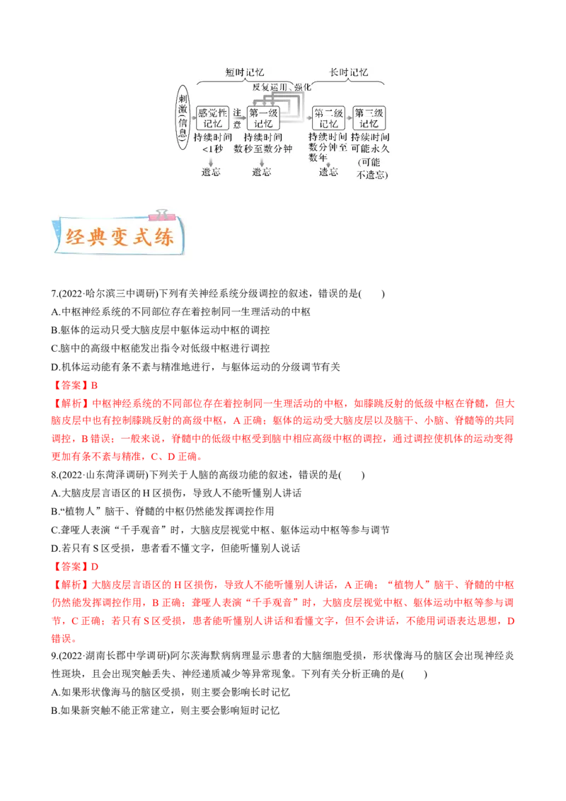 考向17神经调节-备战2023年高考生物一轮复习考点微专题（全国通用）（解析版）(1)_通用版（老高考）复习资料_2023年复习资料_一轮复习
