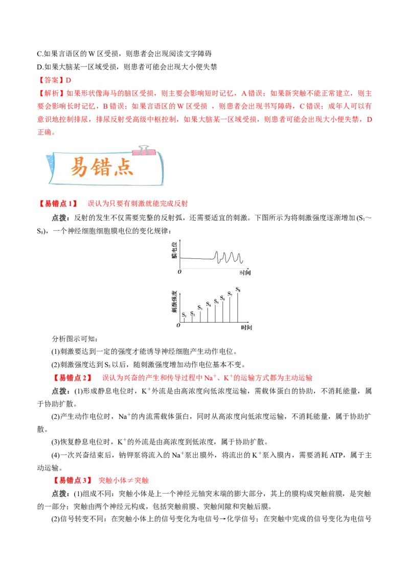 考向17神经调节-备战2023年高考生物一轮复习考点微专题（全国通用）（解析版）(1)_通用版（老高考）复习资料_2023年复习资料_一轮复习