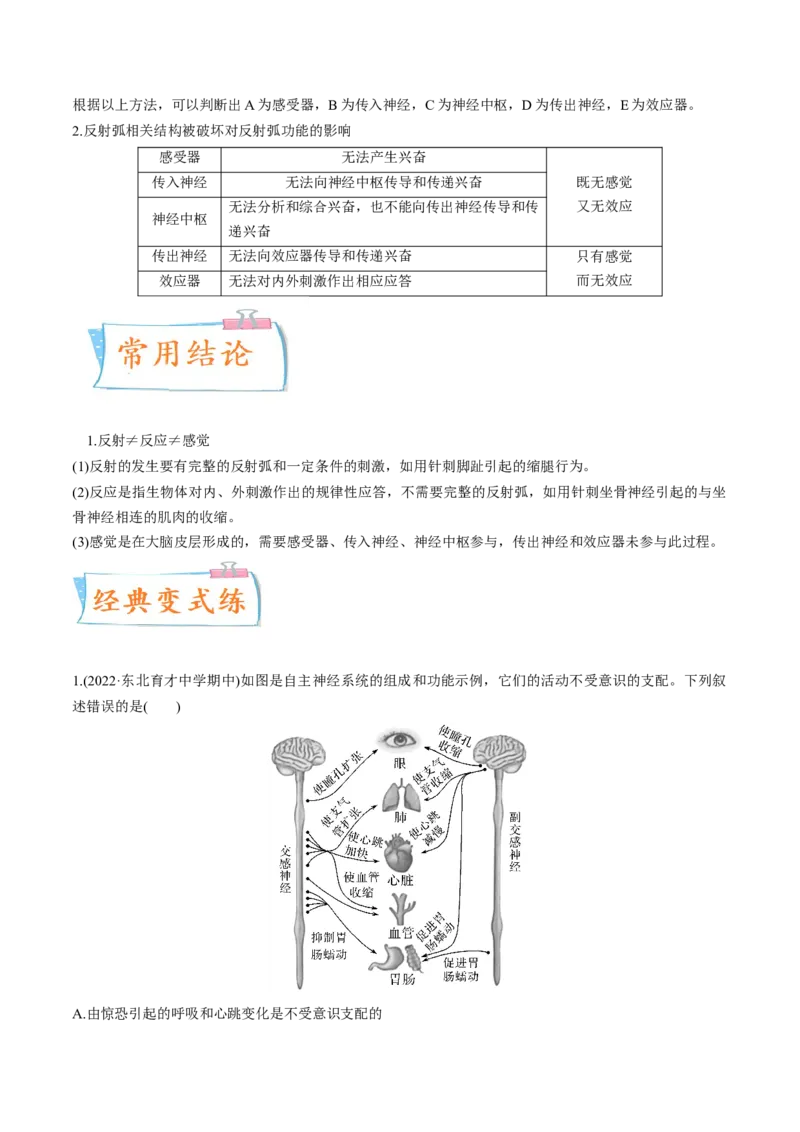 考向17神经调节-备战2023年高考生物一轮复习考点微专题（全国通用）（解析版）(1)_通用版（老高考）复习资料_2023年复习资料_一轮复习