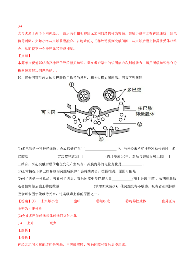 考向17神经调节-备战2023年高考生物一轮复习考点微专题（全国通用）（解析版）(1)_通用版（老高考）复习资料_2023年复习资料_一轮复习