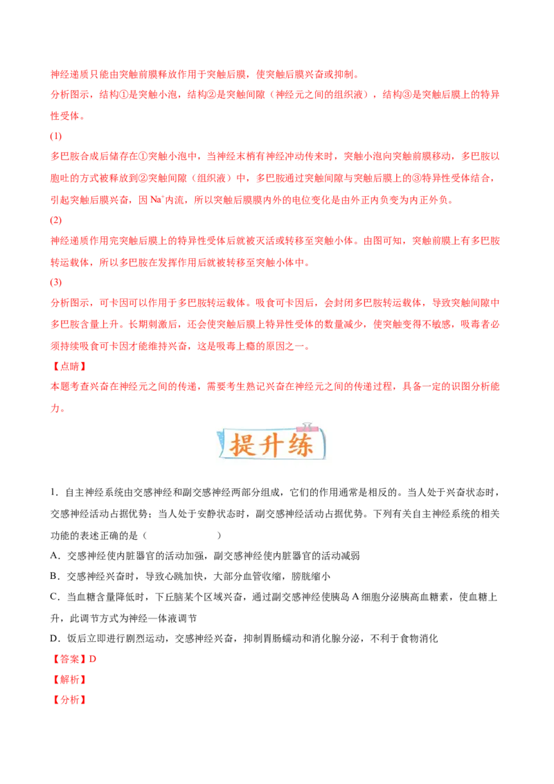 考向17神经调节-备战2023年高考生物一轮复习考点微专题（全国通用）（解析版）(1)_通用版（老高考）复习资料_2023年复习资料_一轮复习
