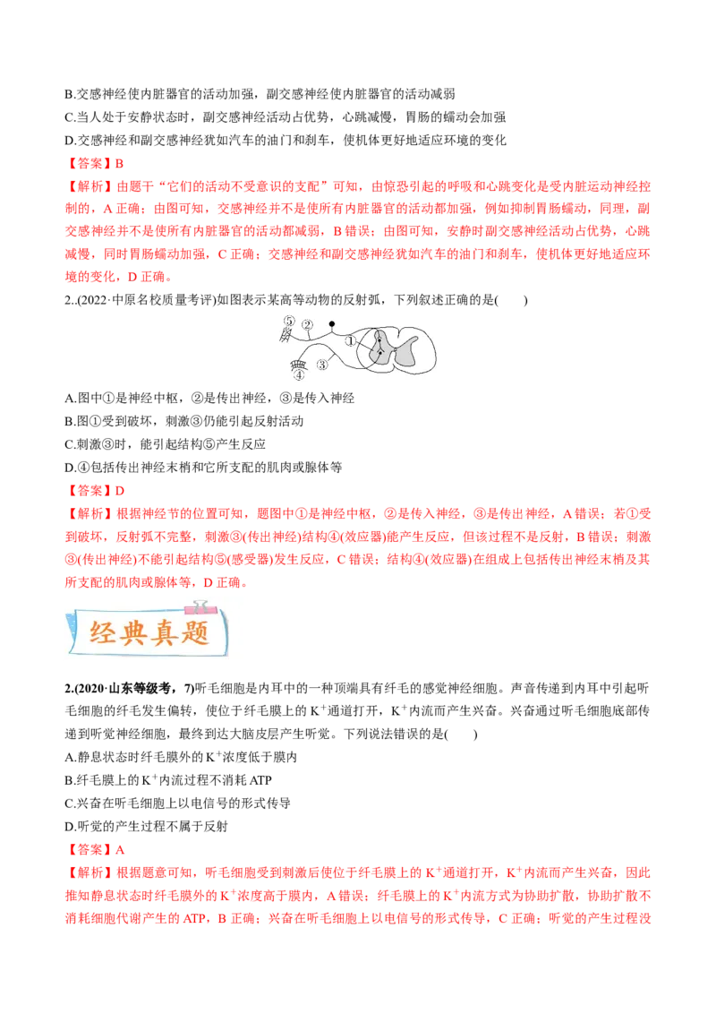 考向17神经调节-备战2023年高考生物一轮复习考点微专题（全国通用）（解析版）(1)_通用版（老高考）复习资料_2023年复习资料_一轮复习